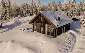 Ottsjö-Åre Lodge
